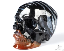 3.9" Black Zebra Agate Hand Carved Crystal Skull, Super Realistic, Healing
