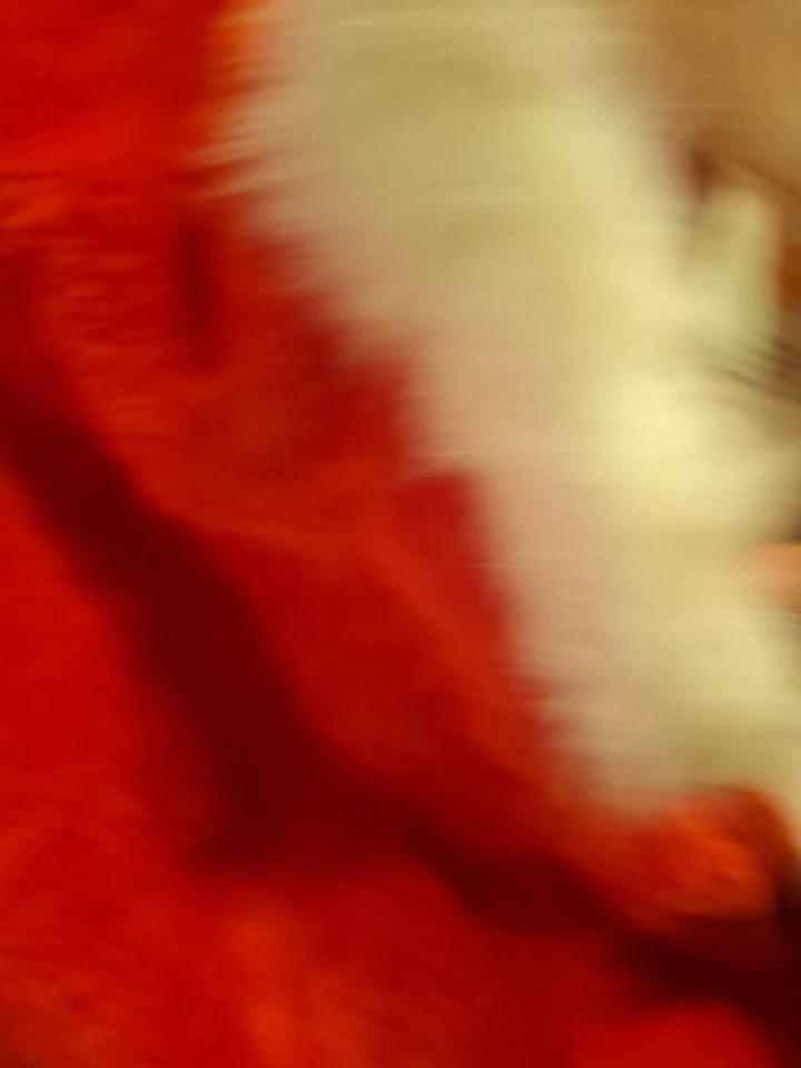 Рубины Санта-Клаус костюм взрослый размер костюм один размер Рождество плюшевая ткань костюм - Изображение 3 из 4