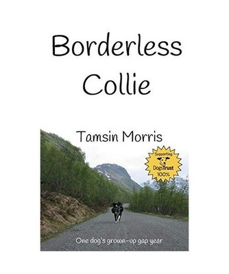 Borderless Collie: One dog's grown up gap year: One dog's grown up gap year, Tam