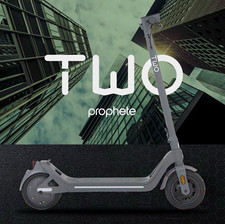 Prophete E-Scooter 2.0 36 V 350 W 10 Zoll Luftreifen bis 40 km klappbar