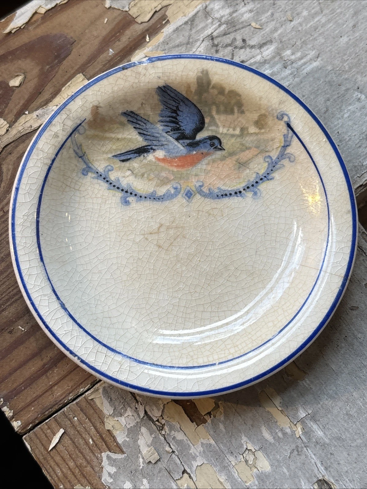 Vintage Stained White Ironstone Butter Pat Bluebird China