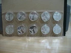 Lot of 10 One Troy Ounce EACH .999 Fine Silver Auction is for ten rounds/10 OZ