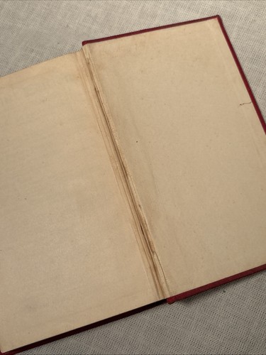 Beautiful Joe~ An Autobiography by Marshall Saunders 1893 HC Phoenix Edition - Picture 8 of 17