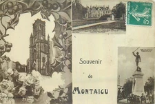 85 MONTAIGU (vendée )  73181
