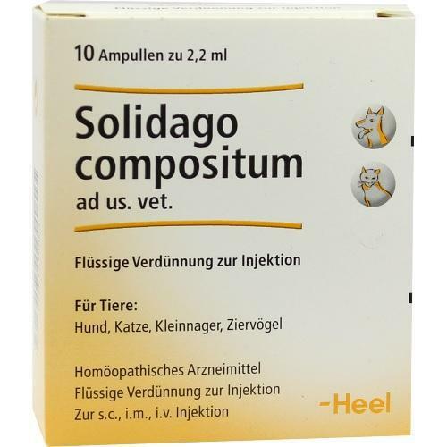 SOLIDAGO COMPOSITUM ad us.vet.Ampullen 10 St PZN 1219864