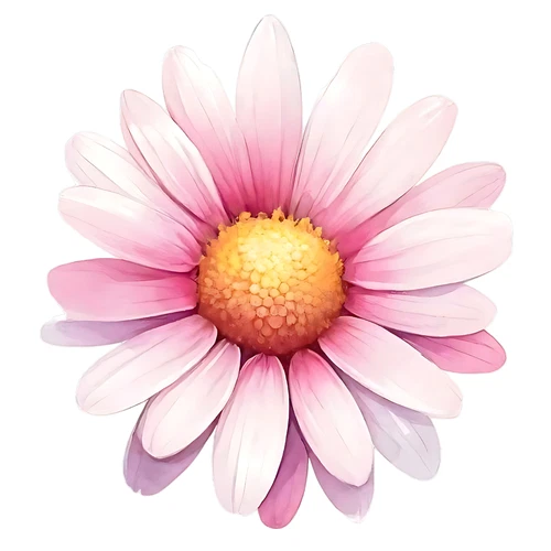 Daisy Flower Floral Self Adhesive Vinyl Sticker