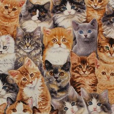 Feline Drive Fabric ADORABLE PETS Stacked Cats 2 - Fat Quarter 18"x22" FQ