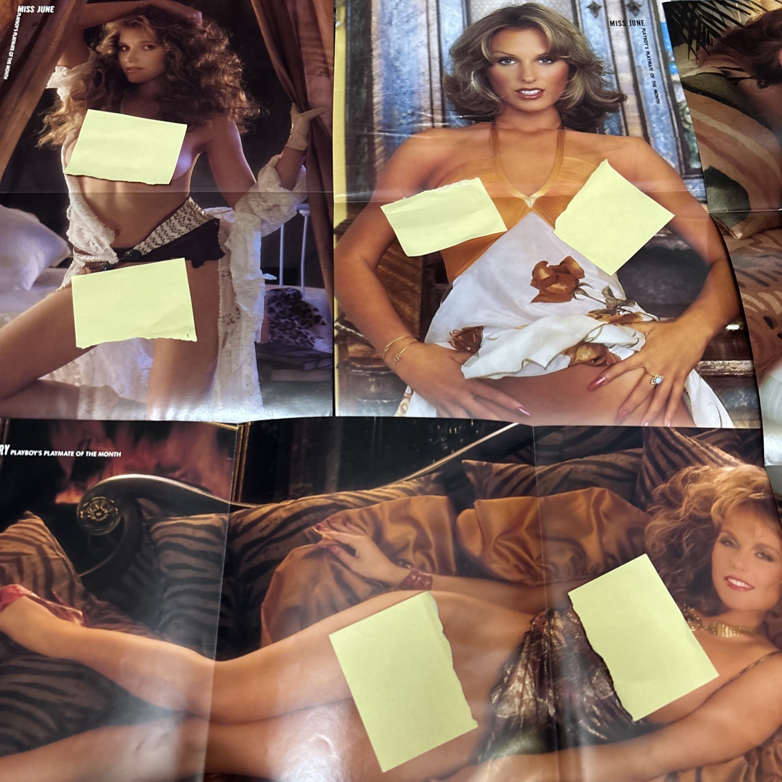 Play Boy Magazine Centerfolds Only! Lot Of 9 1970s-1980s era