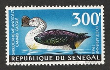 1968 Senegal Sc# C56 (airmail) 300F, Knob-Billed Goose. MNH stamp Cv$12.50