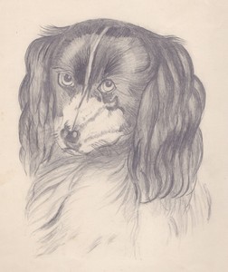 Fine Victorian Era C1890 Charming Pencil Drawing Long Haired