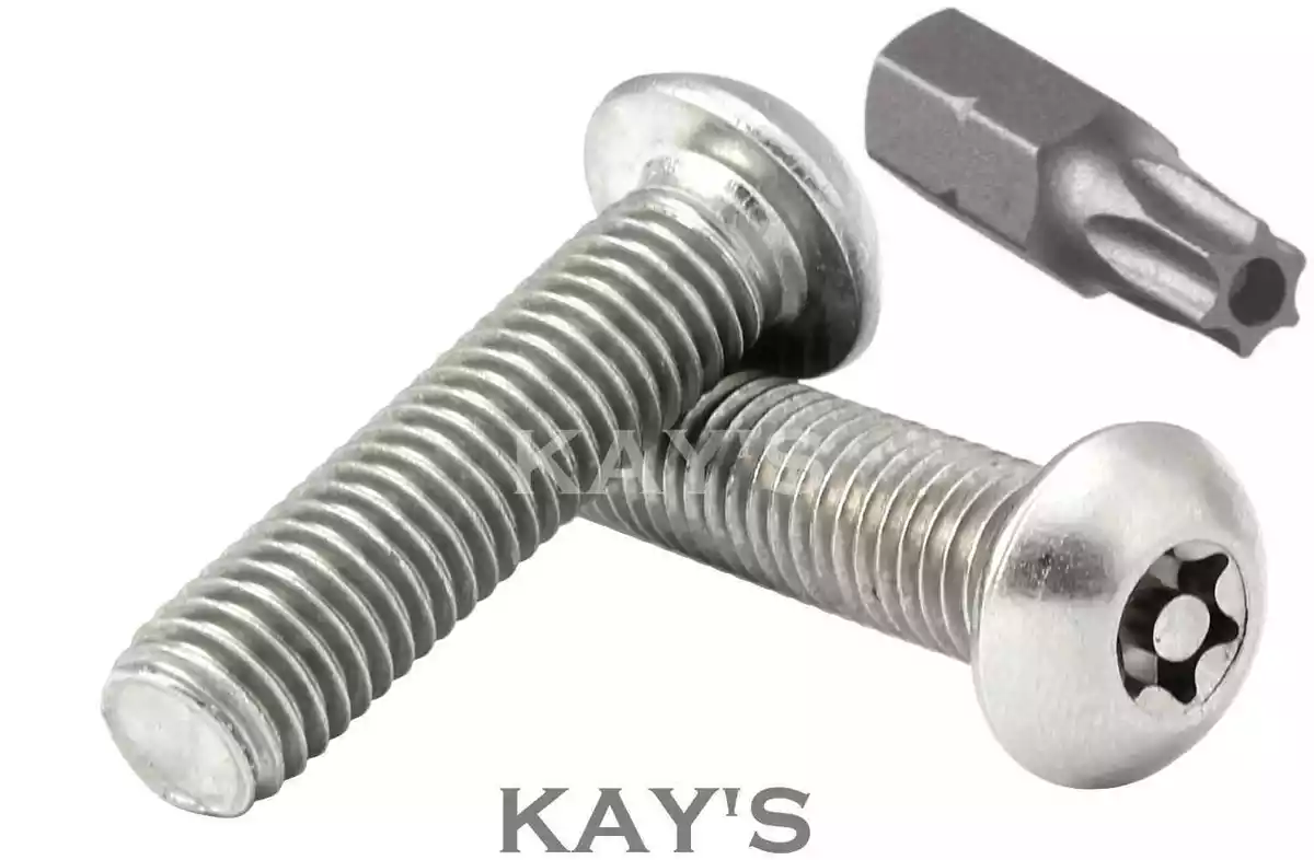 Security cheap torx head