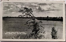 Famed Lake -In - The - Mountain  , Near Picton, Ontario Canada