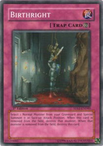Birthright - 5DS1-EN040 - Common - 1st Edition x3 - Lightly Played