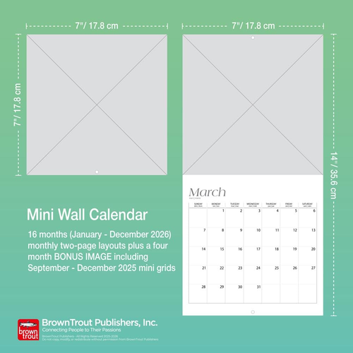 Blue Heelers | 2026 7 x 14 Inch (Hanging) Monthly Mini Wall Calendar | BrownTrou - Picture 7 of 9