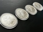 2013 1 oz Silver American Eagles ( Lot of 4) Walking Liberty w/Case & Foam Mount