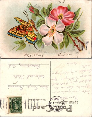Carmel California Butterfly and Rose Postcard