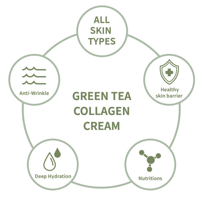 Green Tea Collagen Cream - The Skin House - 50mL Korean Beauty US Seller