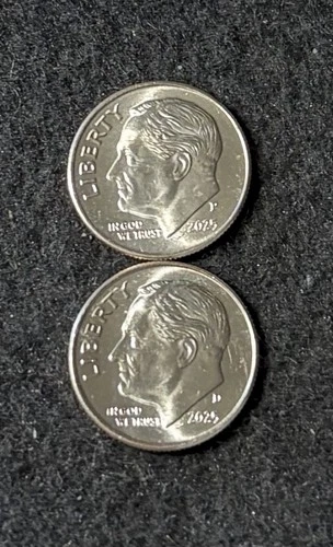 2025 P & D Roosevelt Dimes Circulated #1