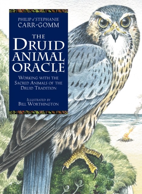 The Druid Animal Oracle by Philip Carr-Gomm
