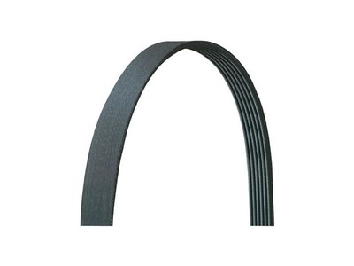 Dayco 41SZ65R Main Drive Multi Rib Belt Fits 2003-2004 Lincoln Navigator