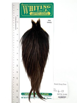 Whiting Farms - Hebert Miner Rooster Cape - Dark Gray Dun - Pro Grade #17