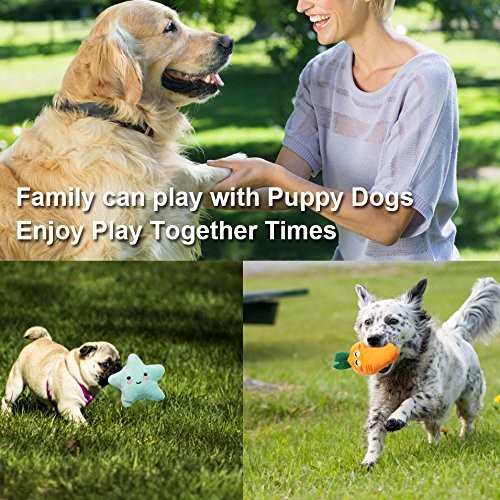9 Pack Small Dogs Puppy Squeaky Dog Toys,Cute Variety Colors Designs to Bite ...