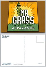 Continental Coachella Valley Mr Grass Asparagus Postcard