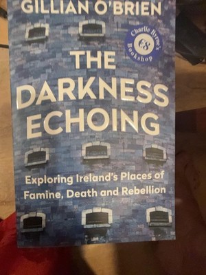 The Darkness Echoing Gillian O'Brien Books Paperback Blue Irish History Travel