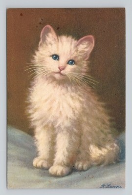 A Lampe White Persian Cat Blue Eyes Artist Signed Swiss Postcard Edition Stehli