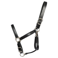 HORSE SIZE- READY MADE - Black TURNOUT HALTER and LEAD Made from BETA BIOTHANE