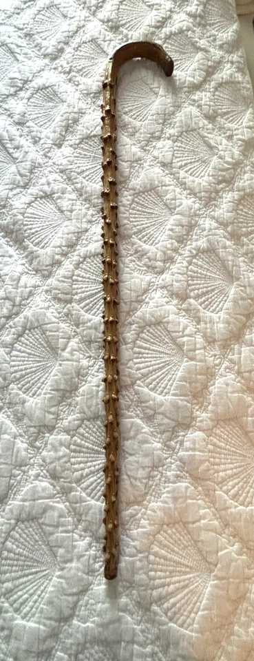 复古古董印度仙人掌民间艺术结节甘蔗步行克鲁克手柄甘蔗 34 — 第 3/4 张图片