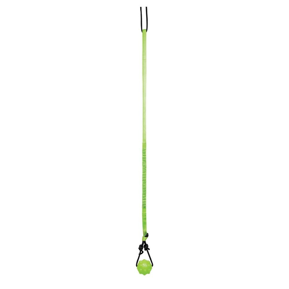Tree Tugger For Dog, Green