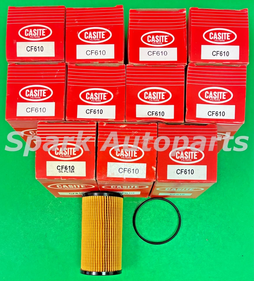 Nueva caja de 12 filtros de aceite de motor CASITE CF610 para AUDI, VOLKSWAGEN, FORD, CH9911 Foto 2 de 3