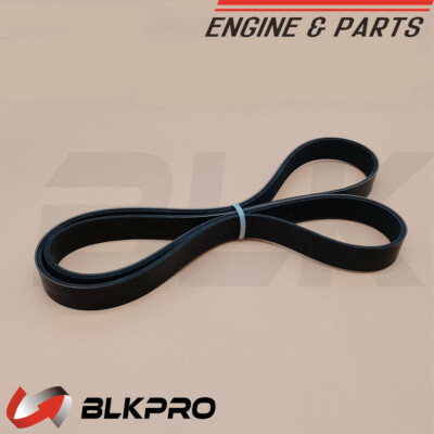 V Ribbed Belt 8PK2095 For Cummins 6C 8.3C ISC ISL QSC QSL 3289864 3959840