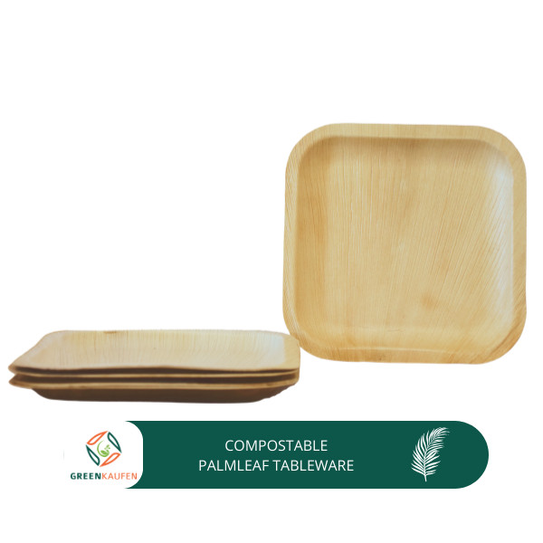 Palmblatt-Teller-25 cm, Kompostierbares Party, Catering, Einweggeschirr 30 stk.