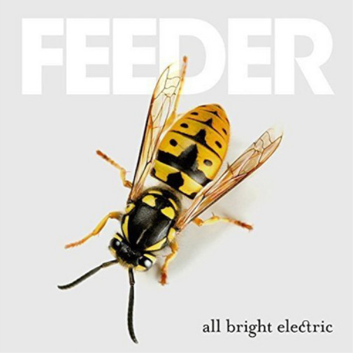 Альбом Feeder All Bright Electric (CD) (ИМПОРТ ИЗ Великобритании)