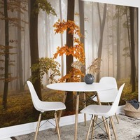 Herbst BäUme Fototapete 260X384Cm Wandbild Schlafzimmer Wandtapete Wald