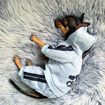 Pet Clothes French Bulldog Puppy Dog Pet Jumpsuit Winter Puppy Outfit Clothes