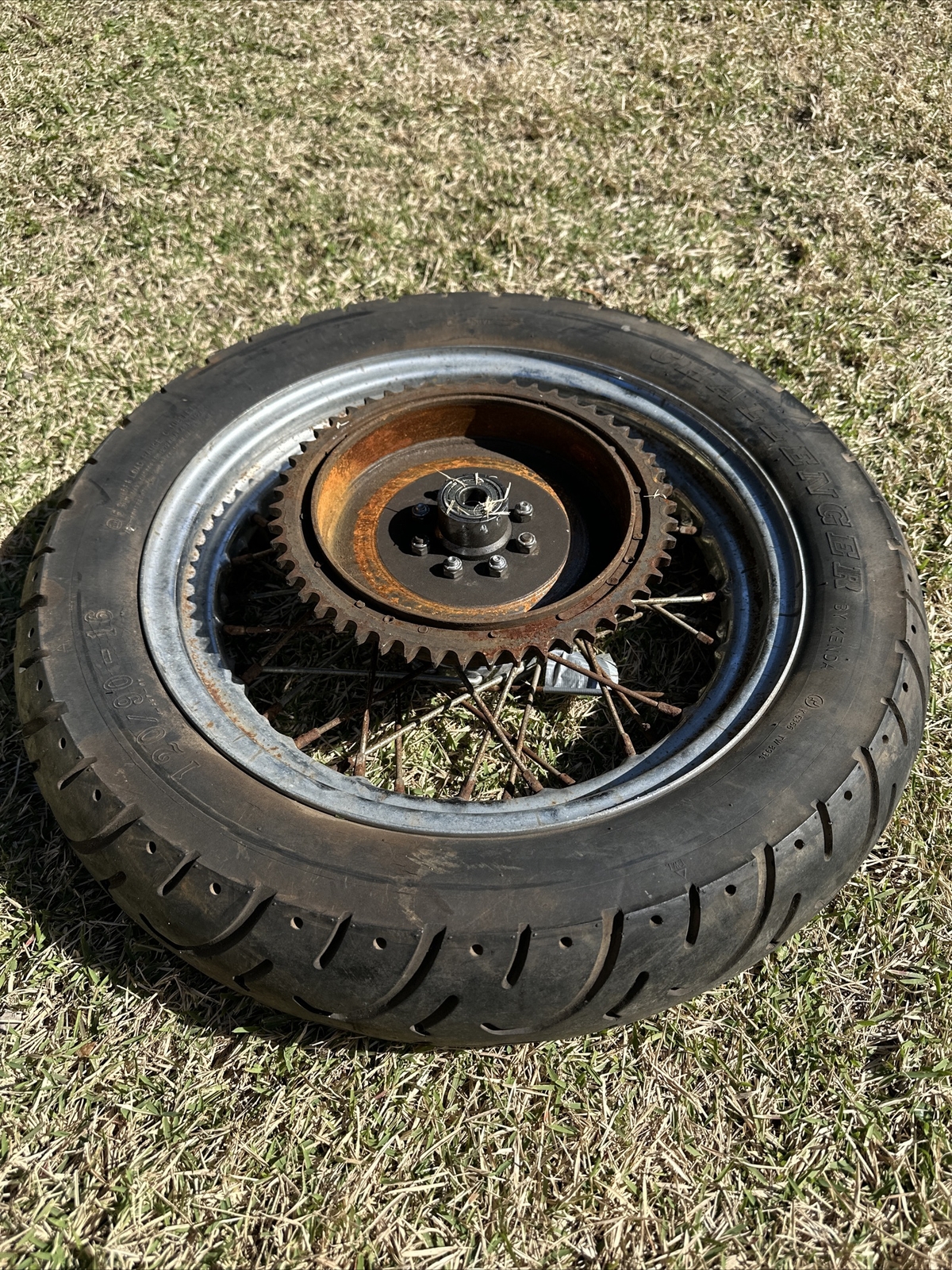 1974 Harley Sportster Ironhead XLH 1000 XLCH XLCH1000 Rear Wheel Hub