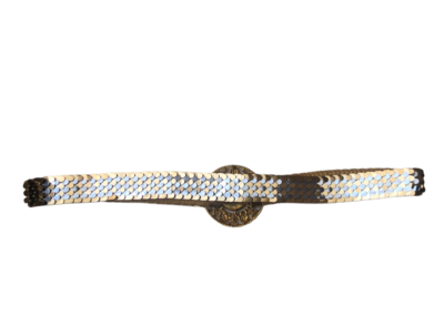 VTG Gold Tone Metallic Fish Scale Waist Belt 1970s Vintage Gold Tone Metallic Fish Scale Waist Belt 70s | eBay main image 2