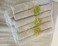 X12 Dash Of That Native Instinct Table Beige Napkin 18”x18” Table Napkin Cloth