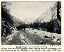 1915 Balkankrieg * Deutsche Truppen marschierendurch das Ibartal  *  WW1