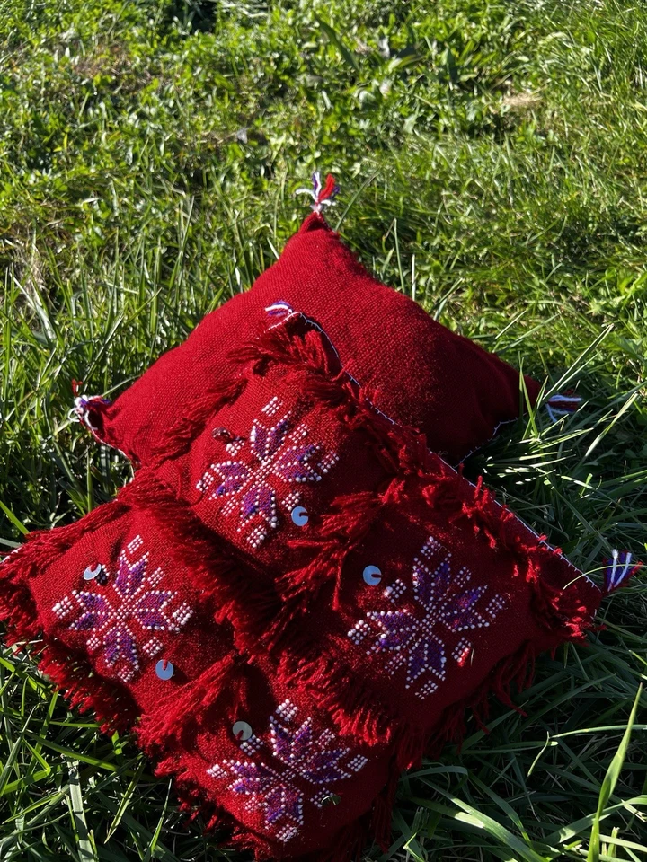 Decorative Pillow Handwoven Bohemian Throw Pillow - Image 3 of 4