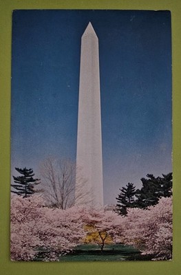 Vintage Postcard The Washington Monument UNUSED (A)