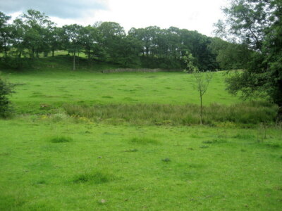Photo 6x4 Pasture near Causeway Farm Windermere Pasture almost surrounded c2009