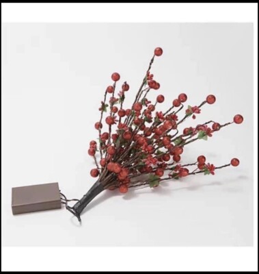 Home Reflections Battery Operated Lit Berry Picks