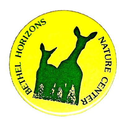 BETHEL HORIZONS NATURE CENTER, Dodgeville, Wisconsin USA -  1984 Camp button