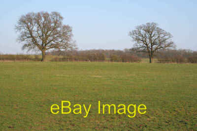 Photo 6x4 Farmland off the A151 Grimsthorpe Two trees stand proud in this c2007