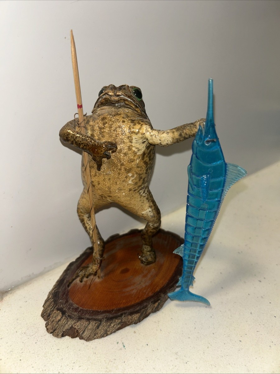 Frog Taxidermy Spear Fishing Frog Figurine Folk Art