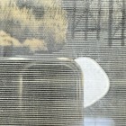 Bild 12 von 19